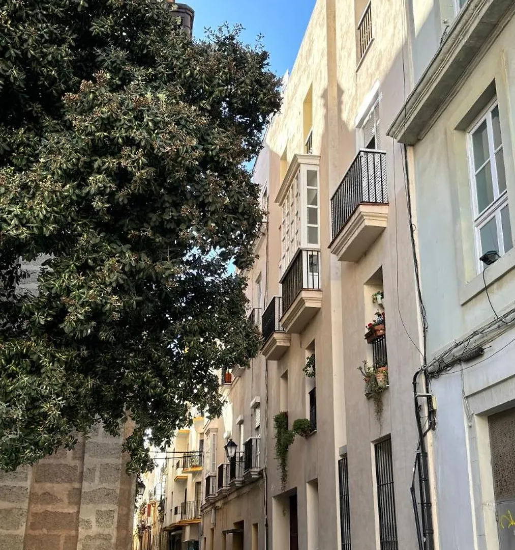 Appartement Luminoso Apartamento En El Centro De Cadix Espagne
